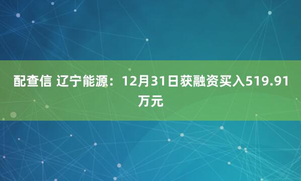 配查信 辽宁能源：12月31日获融资买入519.91万元